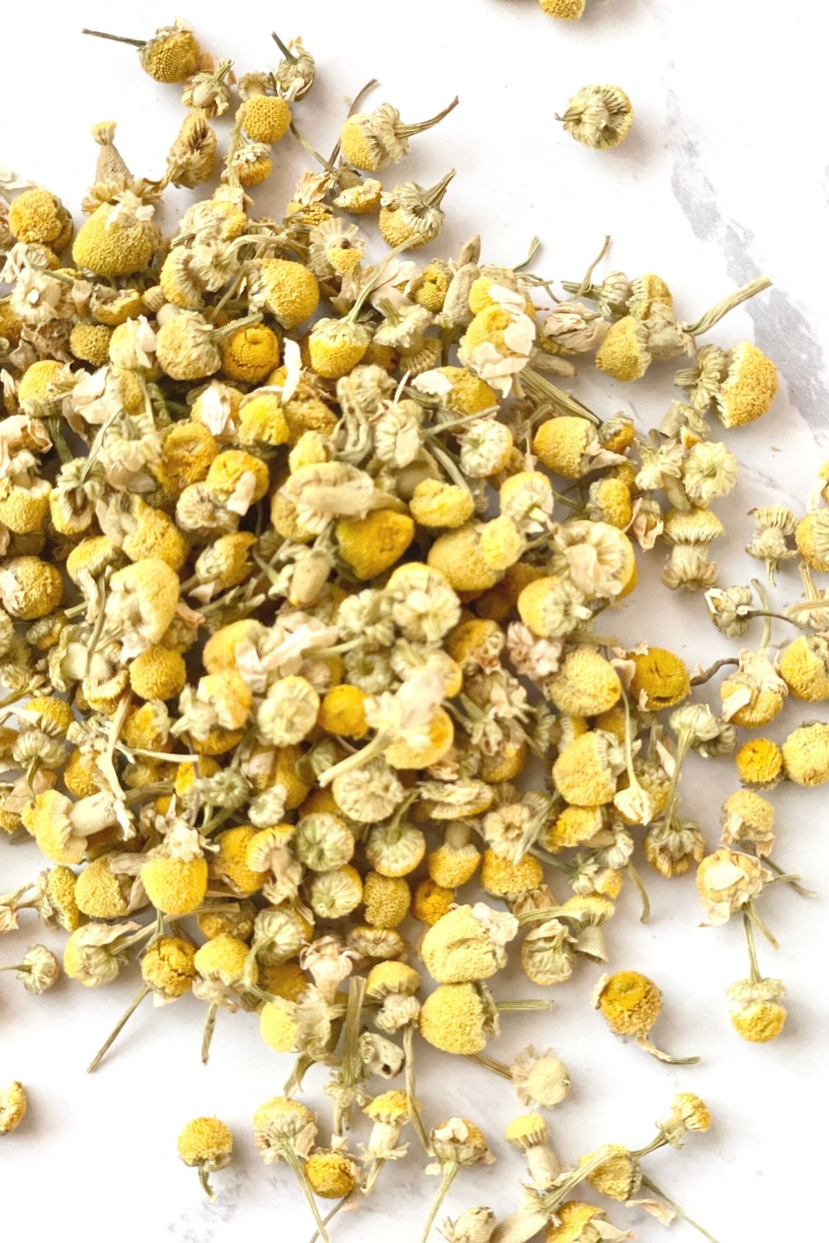 How to Make Chamomile Tea with Dried Flowers Daily Tea Time