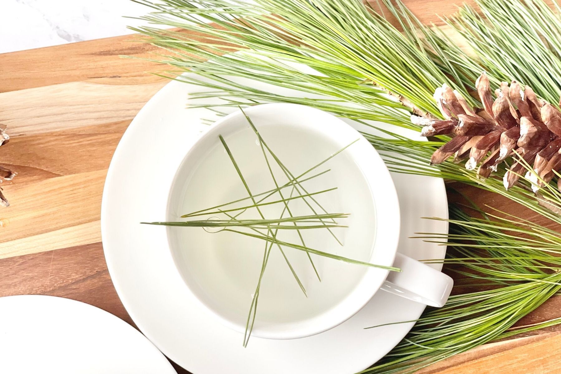 How to Make Pine Needle Tea, Foraging Tips & Benefits Daily Tea Time