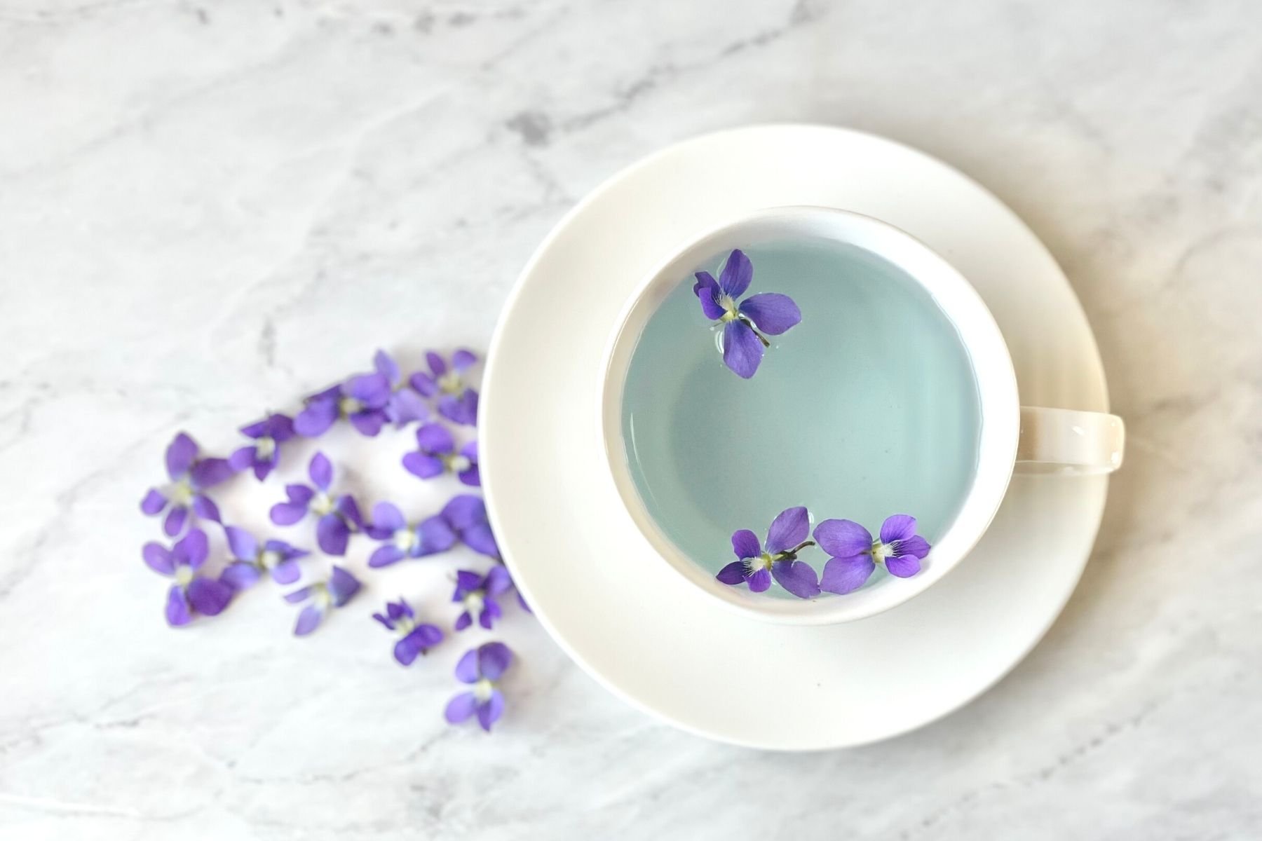 Wild Violet Tea Recipe Daily Tea Time