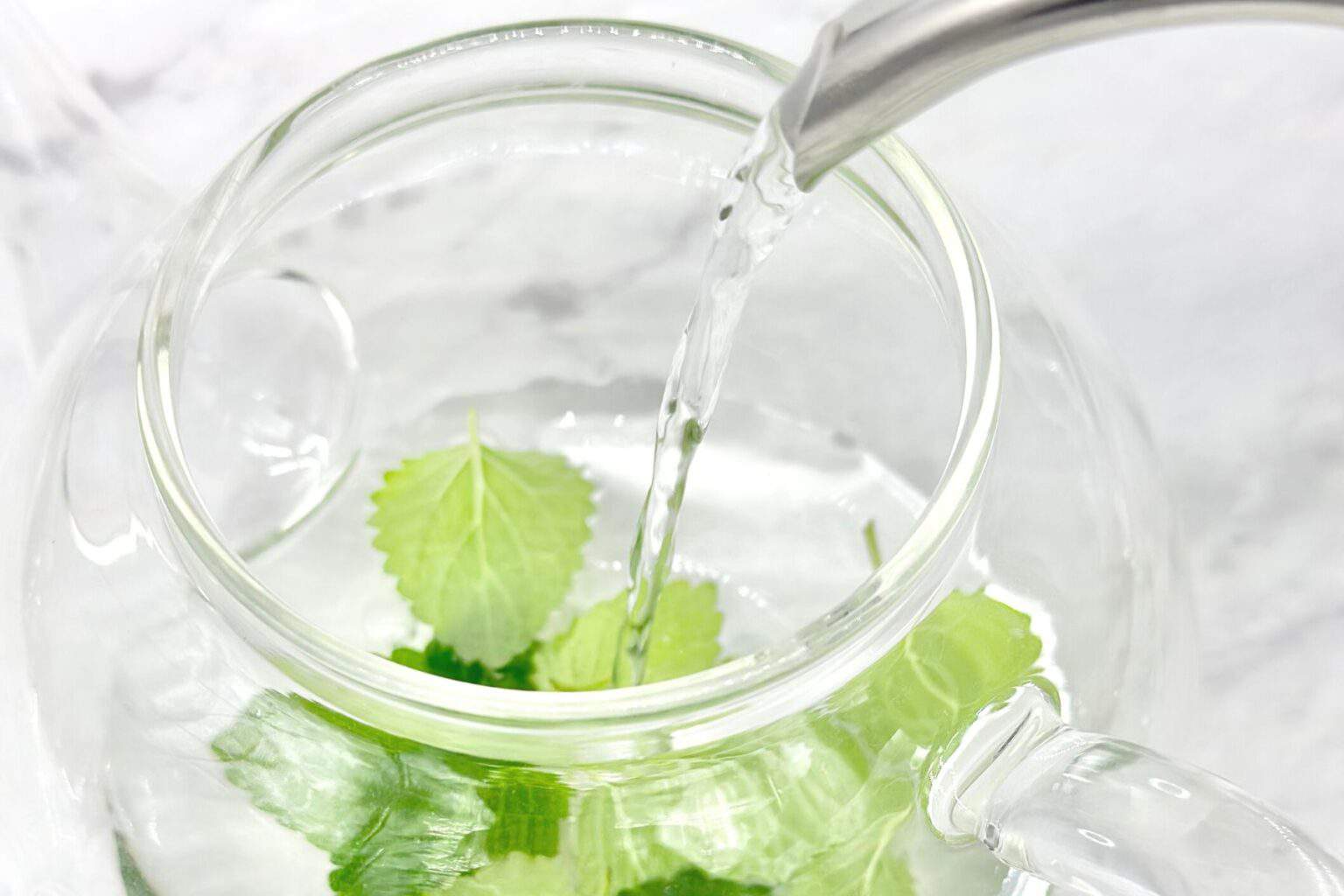 How to Make Lemon Balm Tea (Recipe and Guide) Daily Tea Time