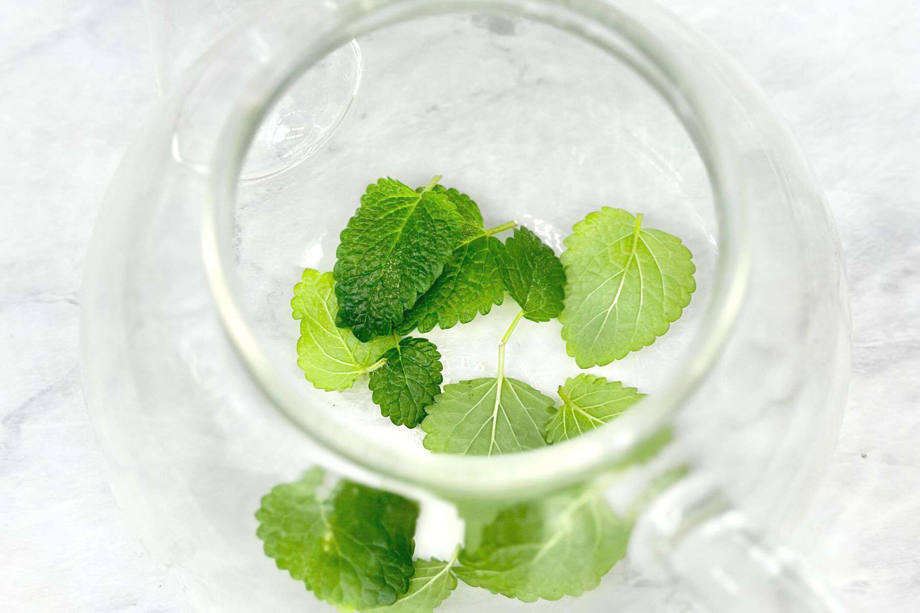 How to Make Lemon Balm Tea (Recipe and Guide) Daily Tea Time