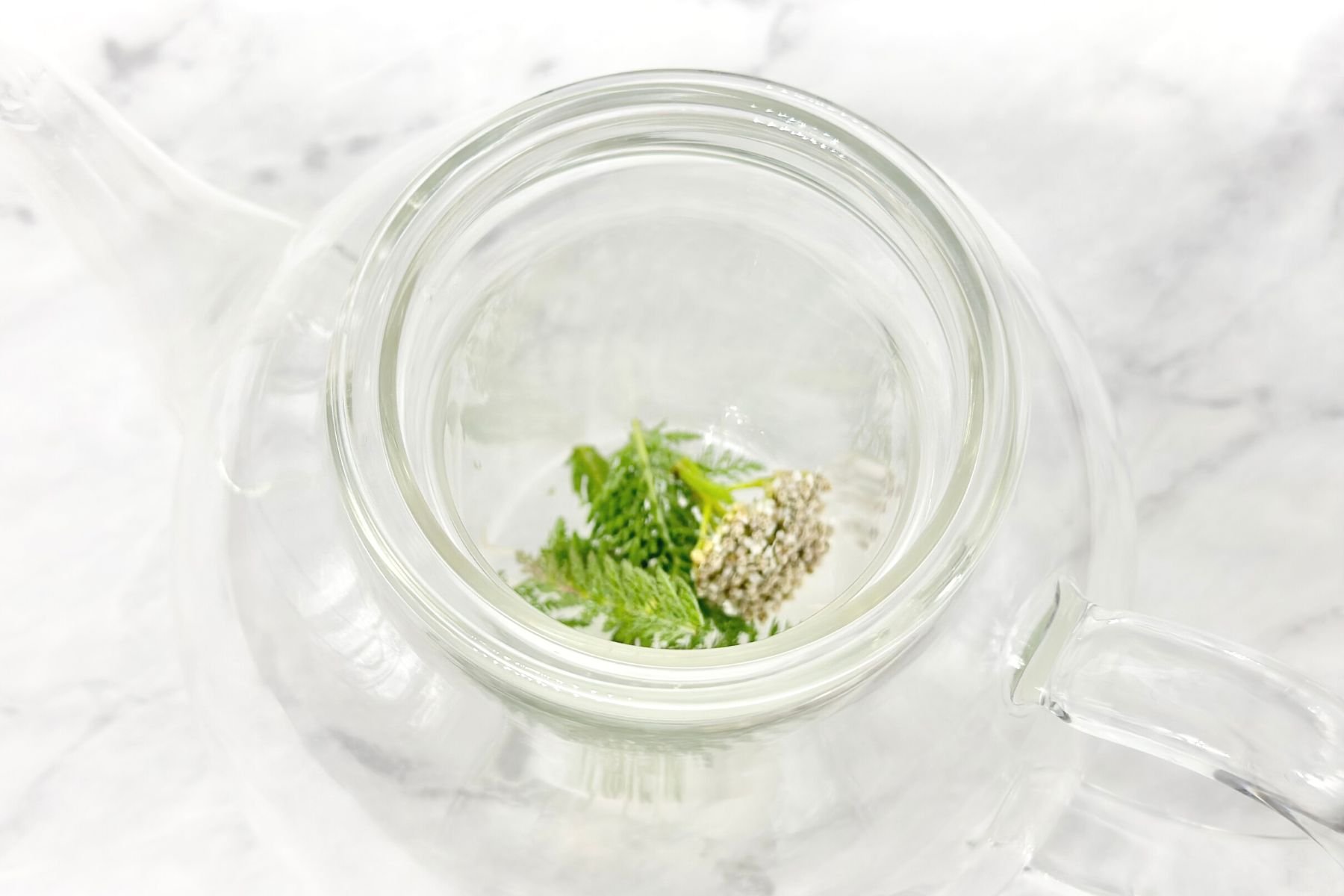 How to Make Yarrow Tea Daily Tea Time