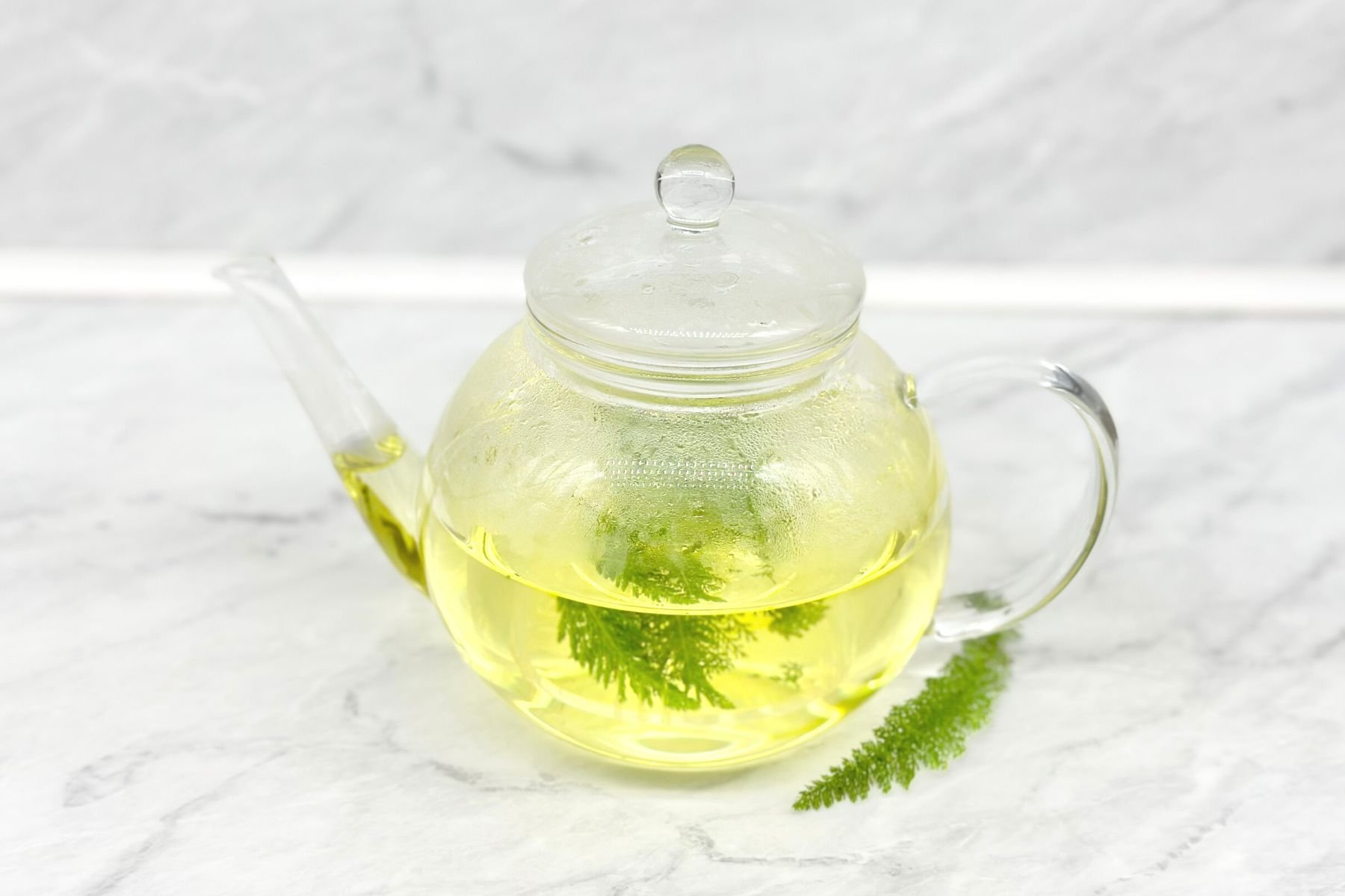 How to Make Yarrow Tea Daily Tea Time