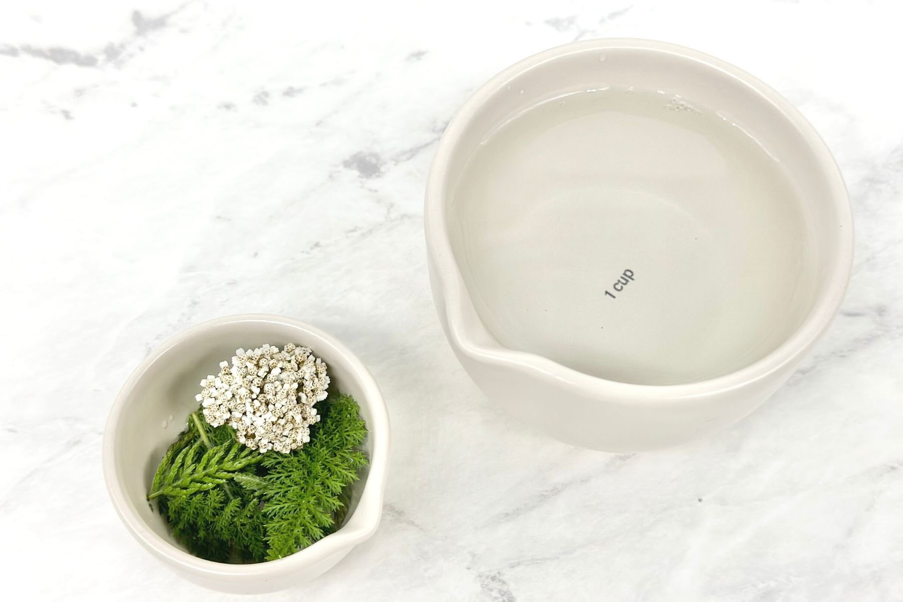 How to Make Yarrow Tea Daily Tea Time